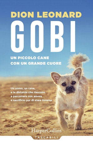Gobi, un piccolo cane con un grande cuore