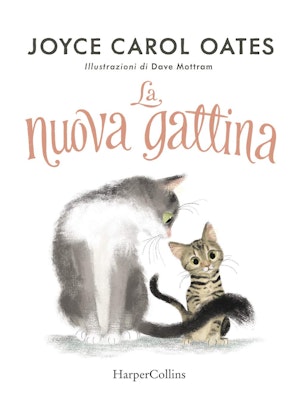 la-nuova-gattina